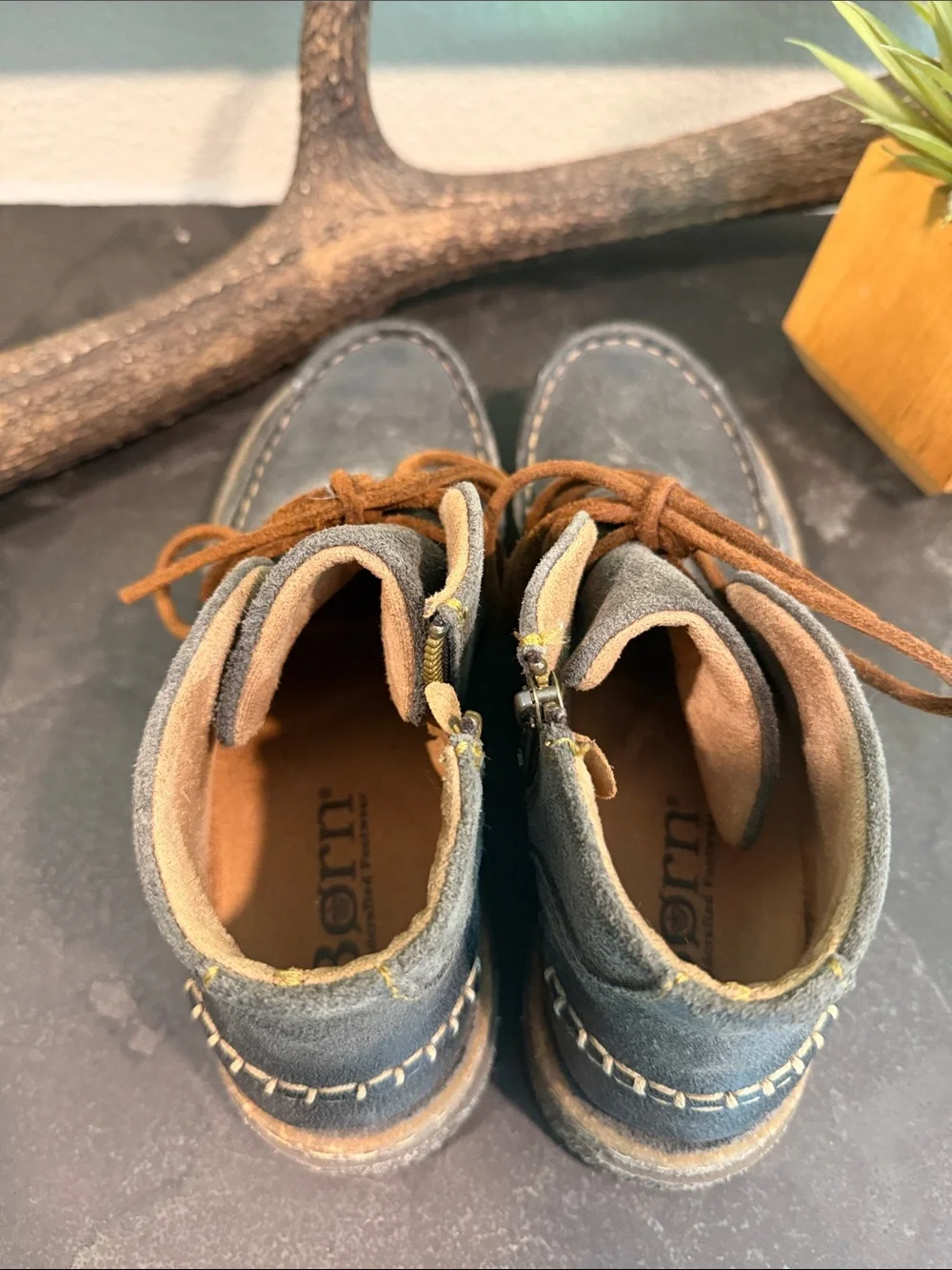 Born Suede Chukka Boots with Brown Laces